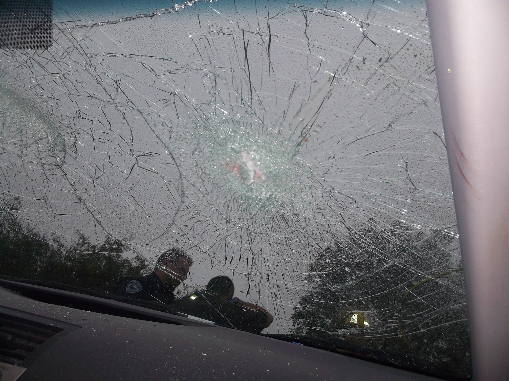 The windshield